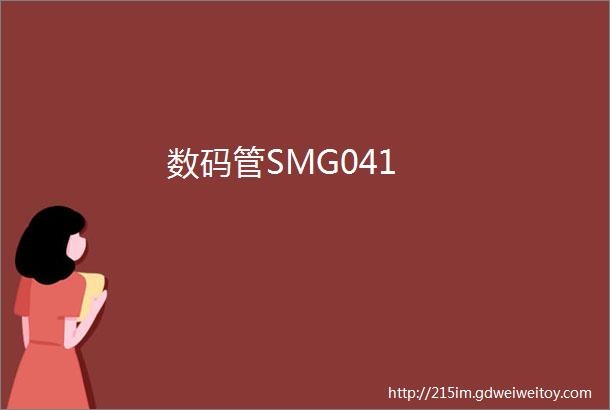 数码管SMG041
